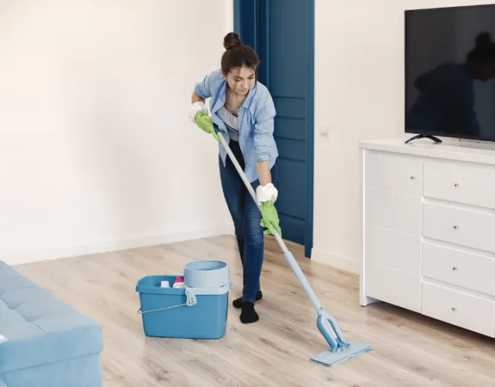 Femme de ménage Le Pouzin